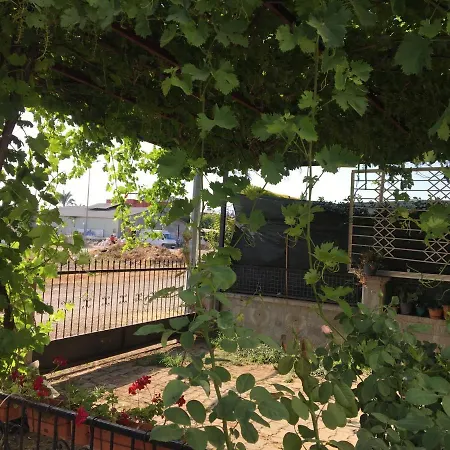 Sahile 1 Km Doga Manzarali Dublex Daire Apartment